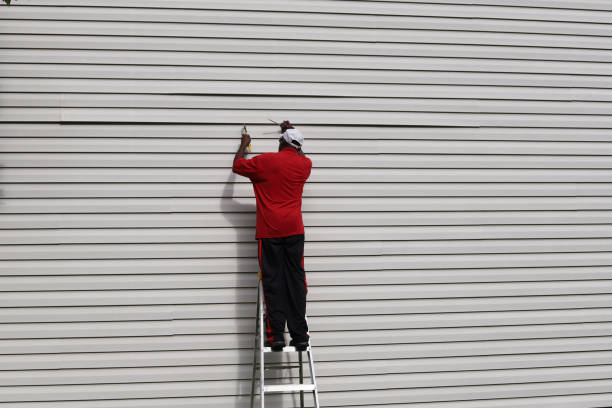 Best Aluminum Siding Installation  in Mcgaheysville, VA